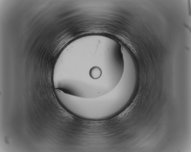 X0000096471273200802211141