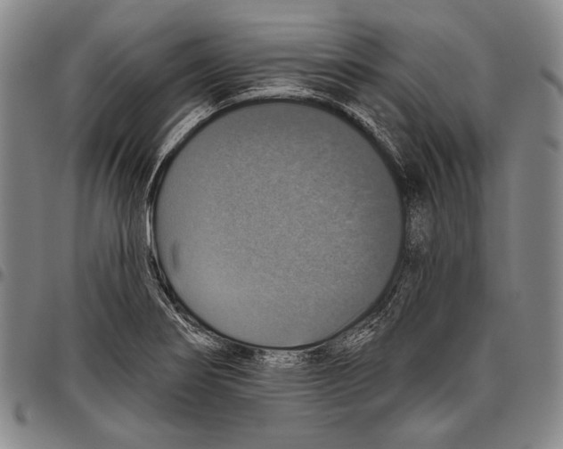 X0000096471274200802211141