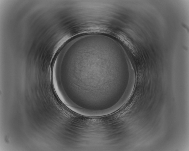 X0000096471275200802211141