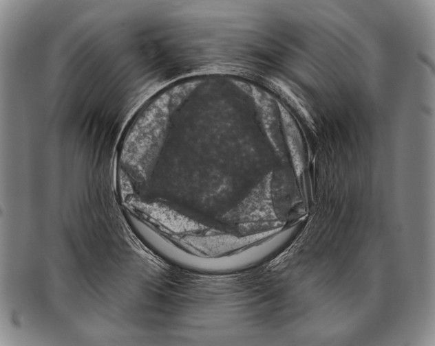 X0000096471276200802211141