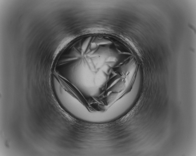 X0000096471277200802211141