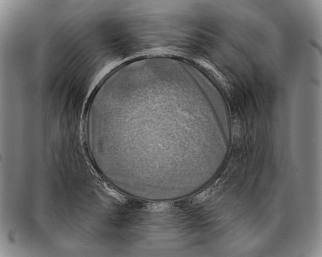 X0000096471278200802211141