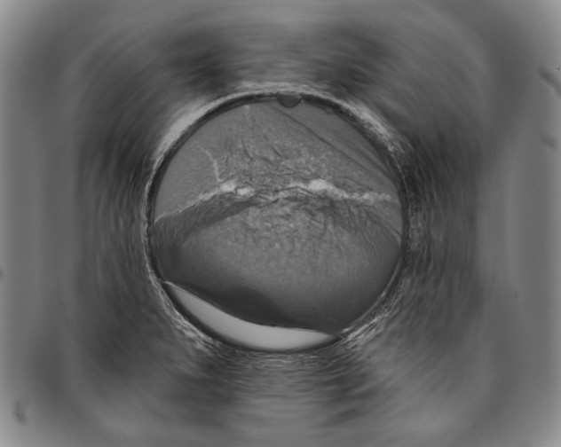 X0000096471279200802211141