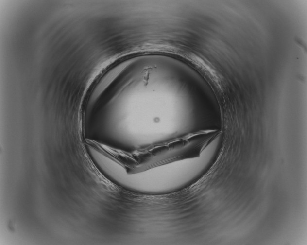 X0000096471280200802211141