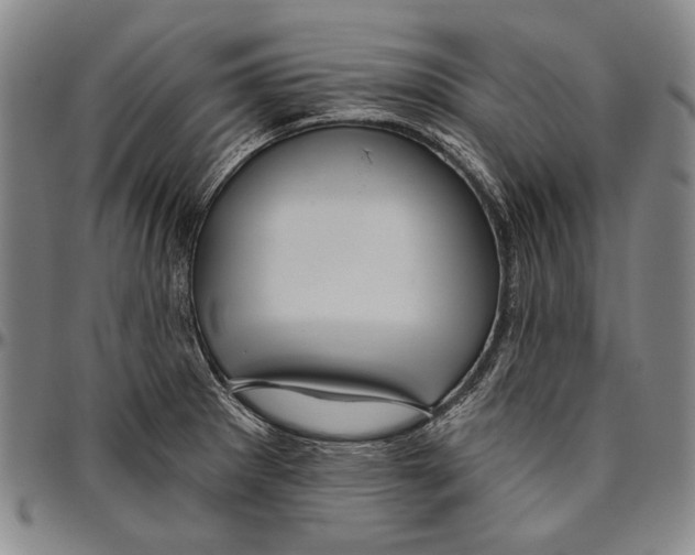 X0000096471281200802211141