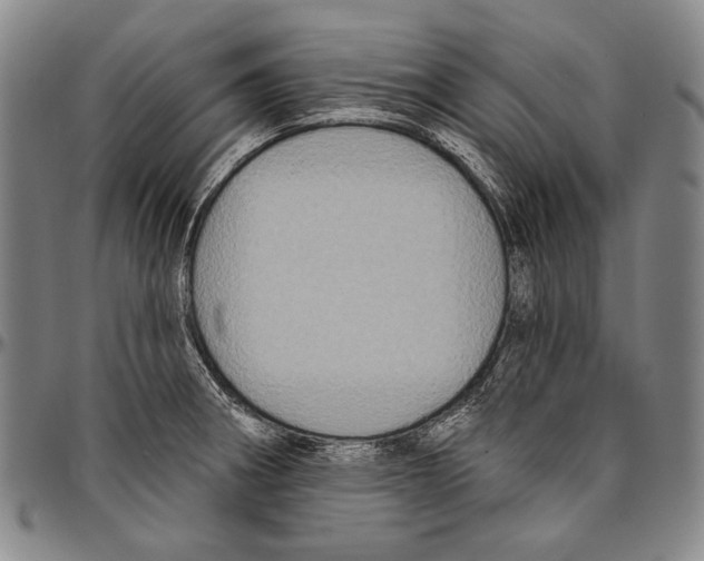 X0000096471282200802211141