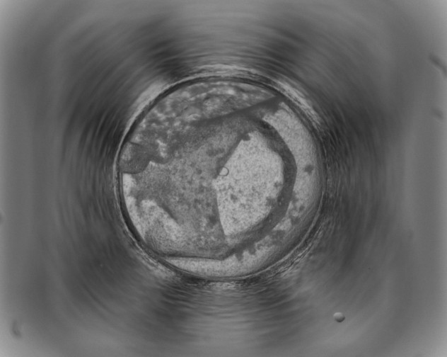 X0000096471283200802211141