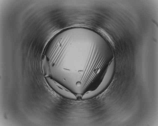 X0000096471284200802211141