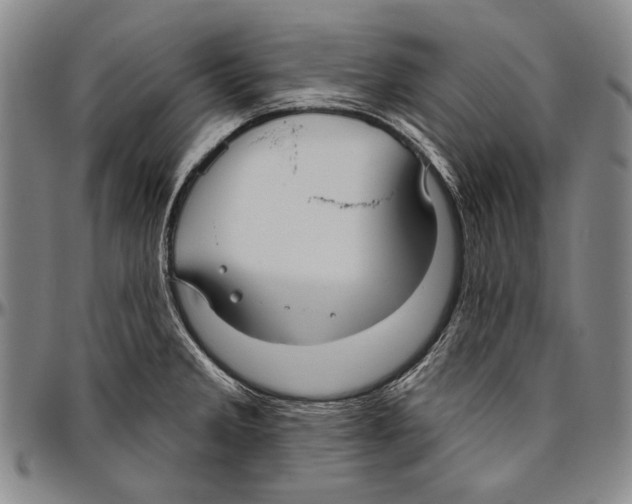 X0000096471285200802211141