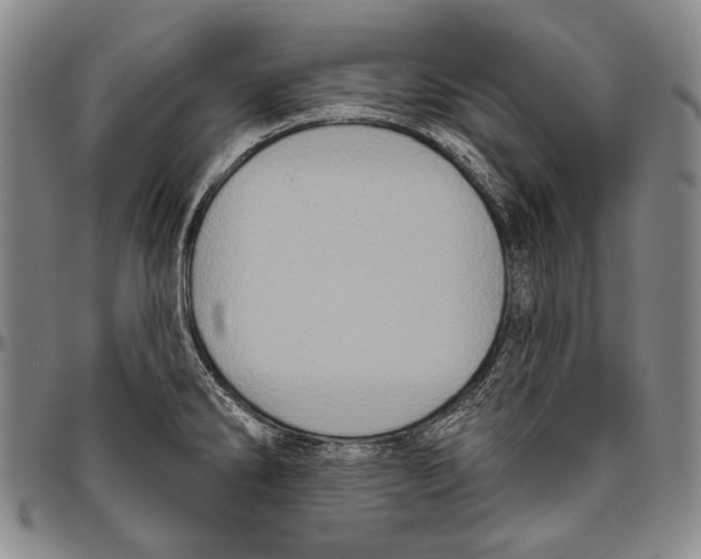 X0000096471286200802211141