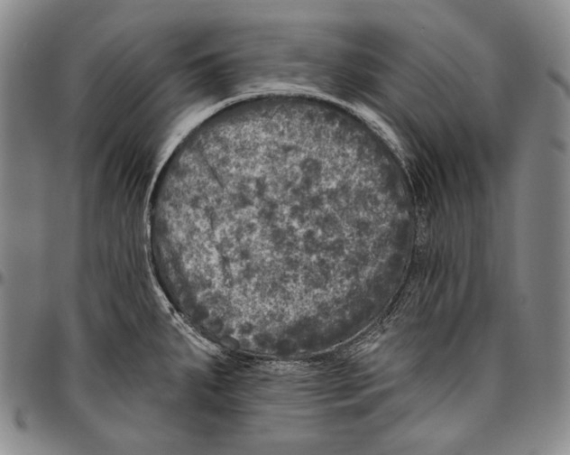 X0000096471287200802211141