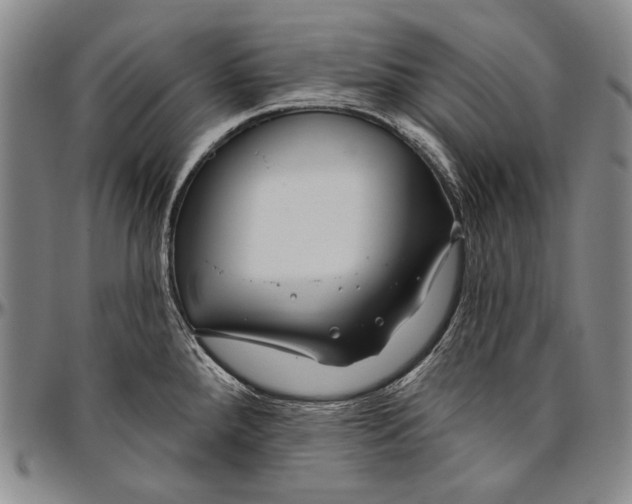 X0000096471288200802211141