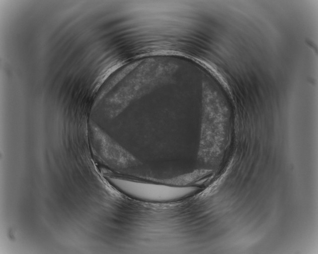 X0000096471289200802211141