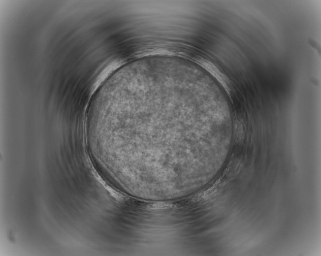 X0000096471290200802211141