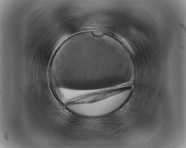 X0000096471291200802211141