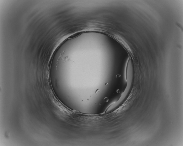 X0000096471292200802211141