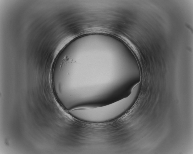 X0000096471293200802211141