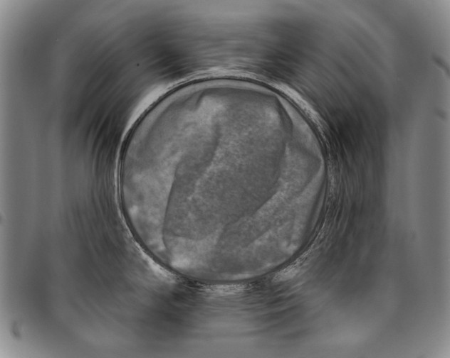 X0000096471294200802211141