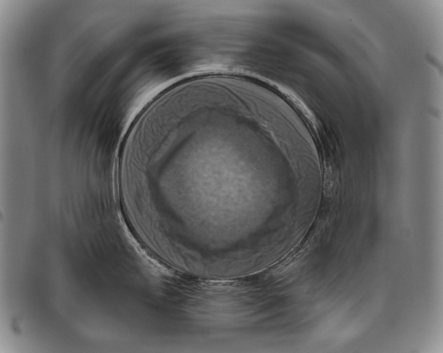 X0000096471295200802211141