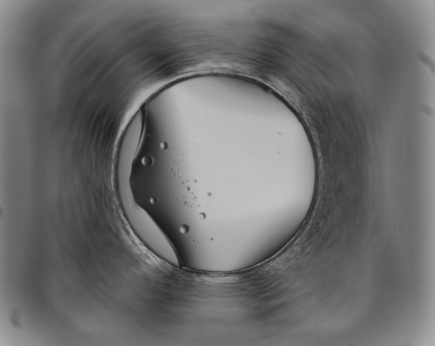 X0000096471296200802211141