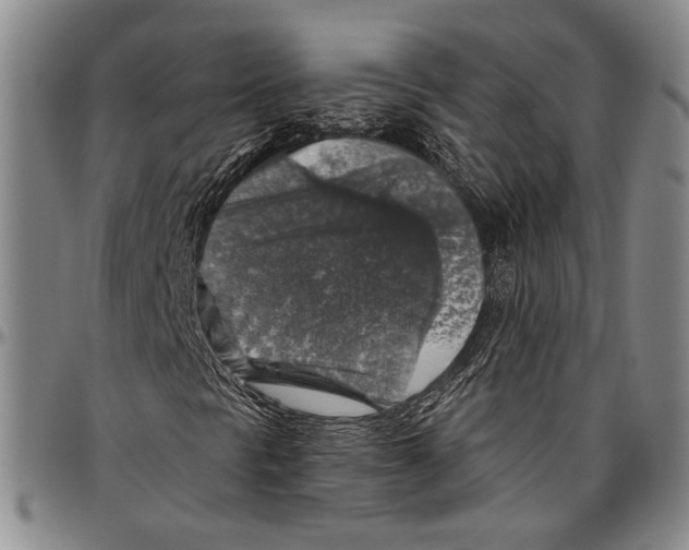 X0000096471297200802211140