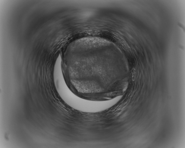 X0000096471298200802211140