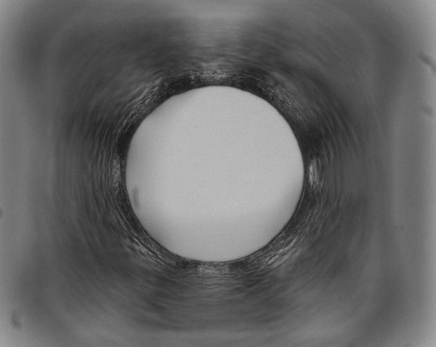 X0000096471299200802211140