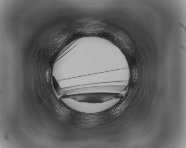 X0000096471300200802211140