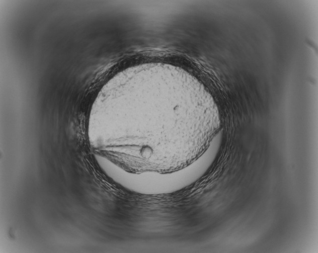 X0000096471301200802211140