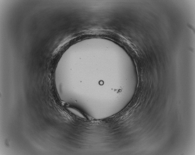 X0000096471304200802211140