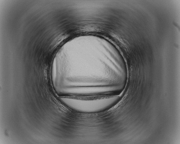 X0000096471305200802211140