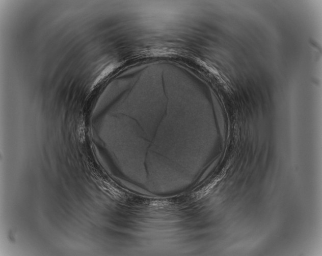 X0000096471306200802211140