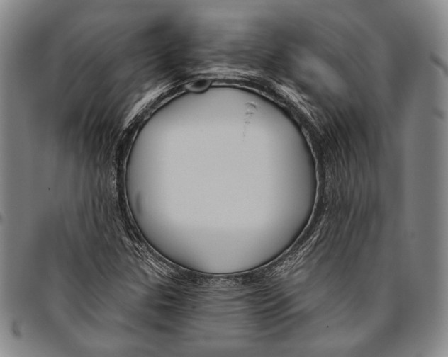 X0000096471307200802211140