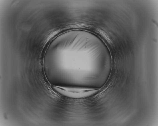 X0000096471308200802211140