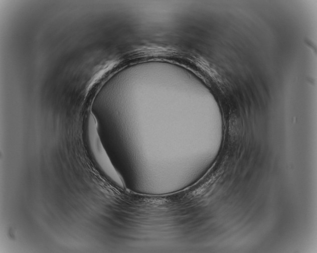 X0000096471309200802211140