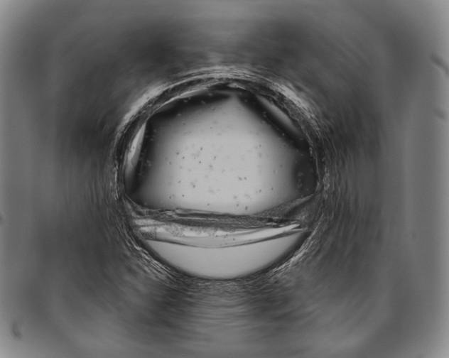 X0000096471310200802211140