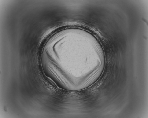 X0000096471311200802211140