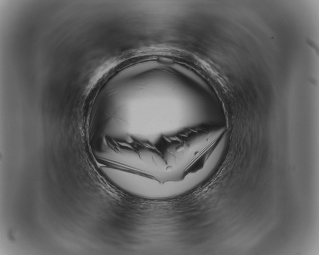 X0000096471312200802211140