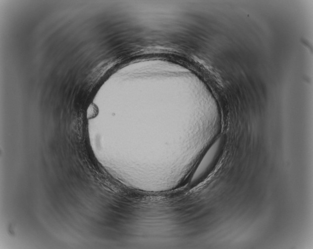 X0000096471313200802211140