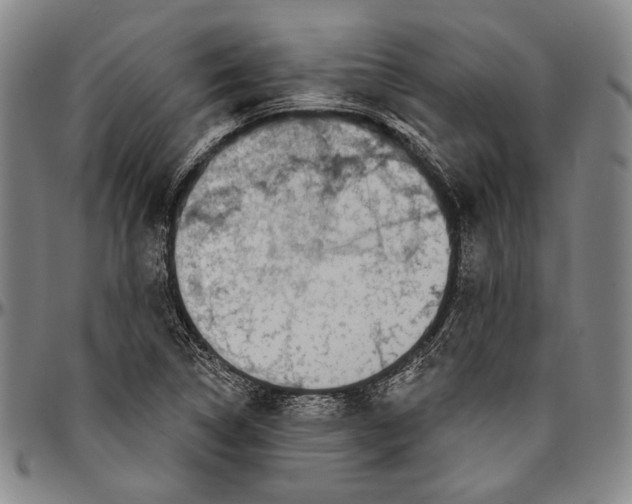 X0000096471314200802211140