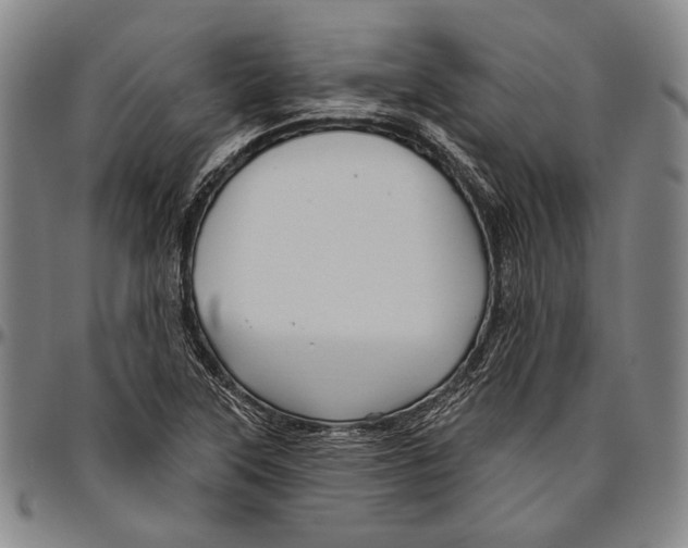 X0000096471315200802211140