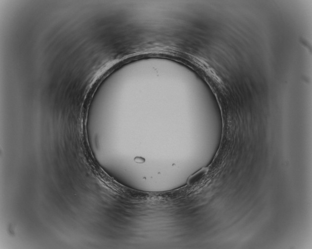 X0000096471316200802211140