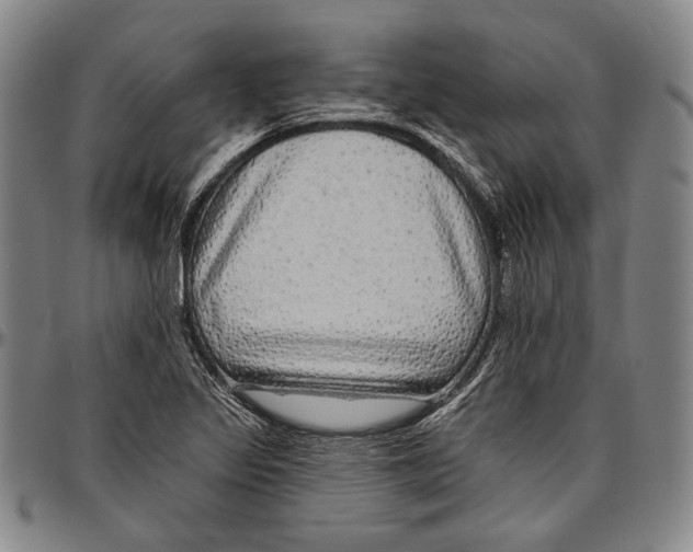 X0000096471317200802211140