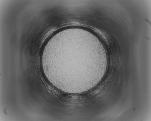 X0000096471318200802211140