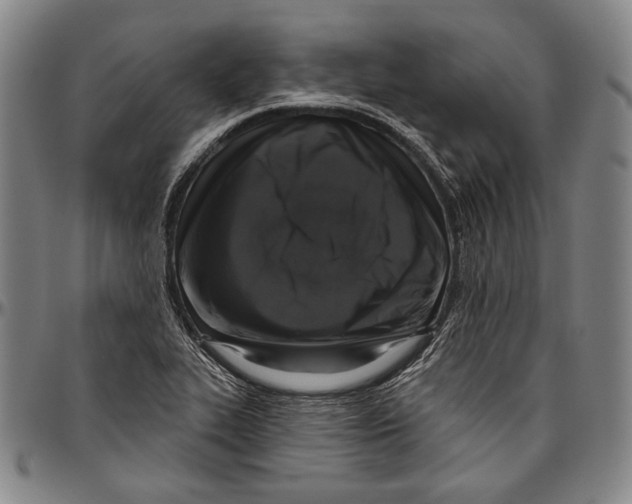 X0000096471319200802211140