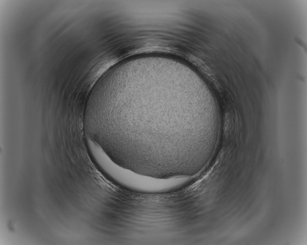 X0000096471321200802211140