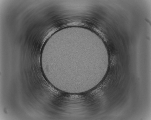 X0000096471322200802211140