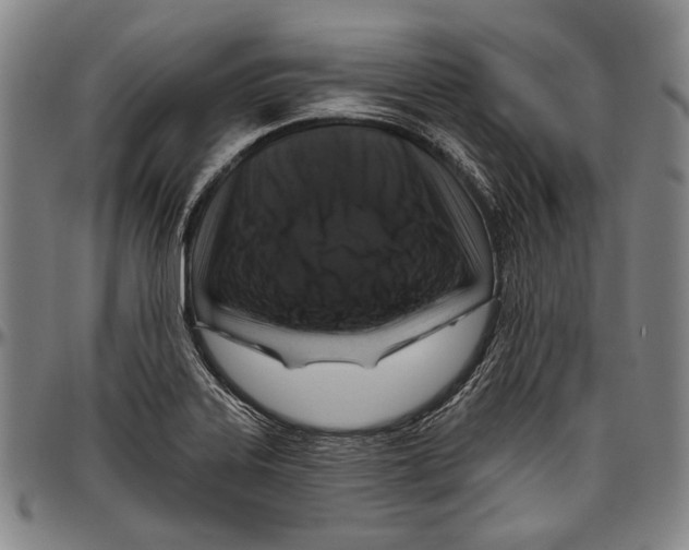 X0000096471323200802211141