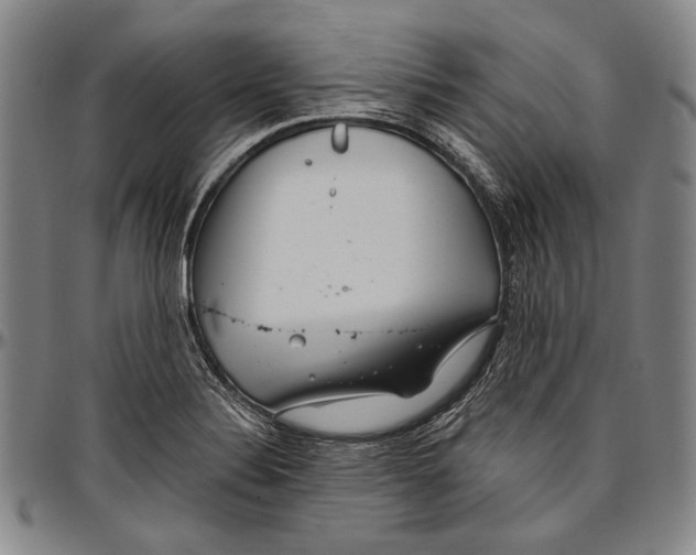 X0000096471324200802211141