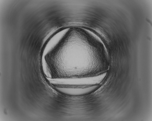 X0000096471325200802211141